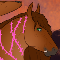 Thumbnail for ID-459: BDS If you Were Blind